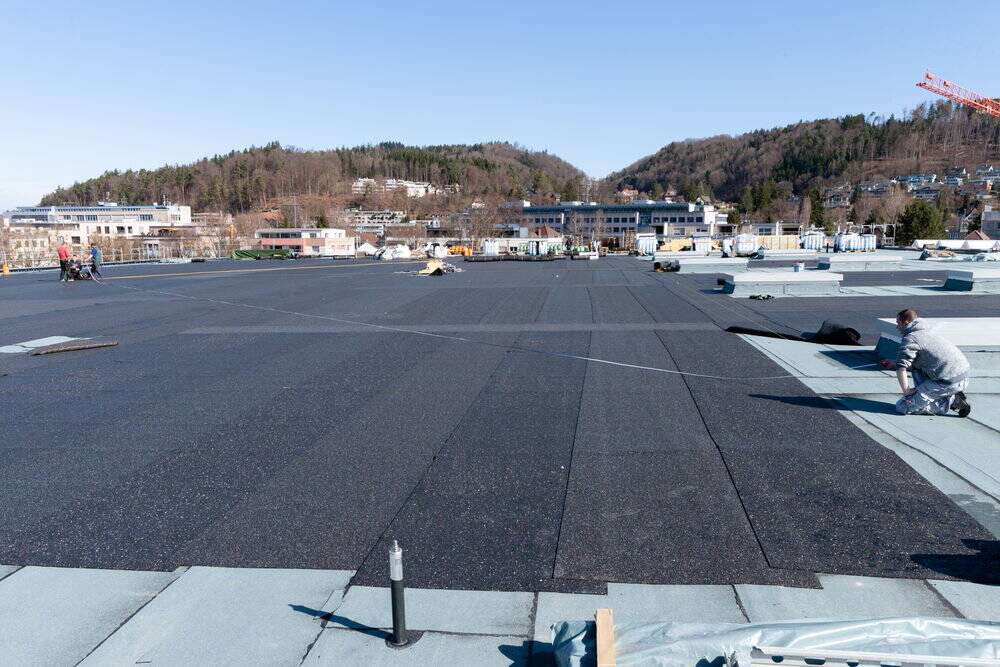 maerz_201800020.jpg
